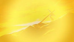 banner-img